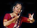 Kalyani Shanmugarajah Kalyani Shanmugarajah Photo